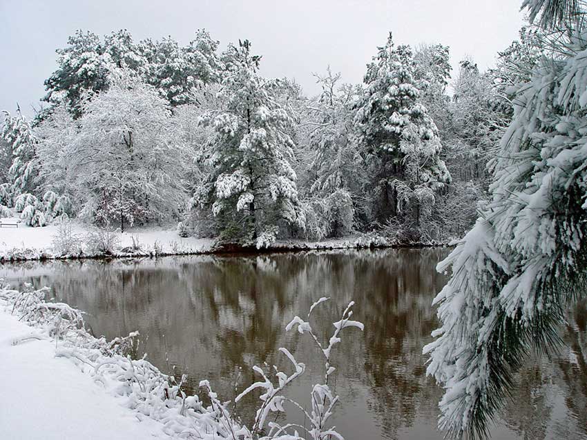 Snow around pond